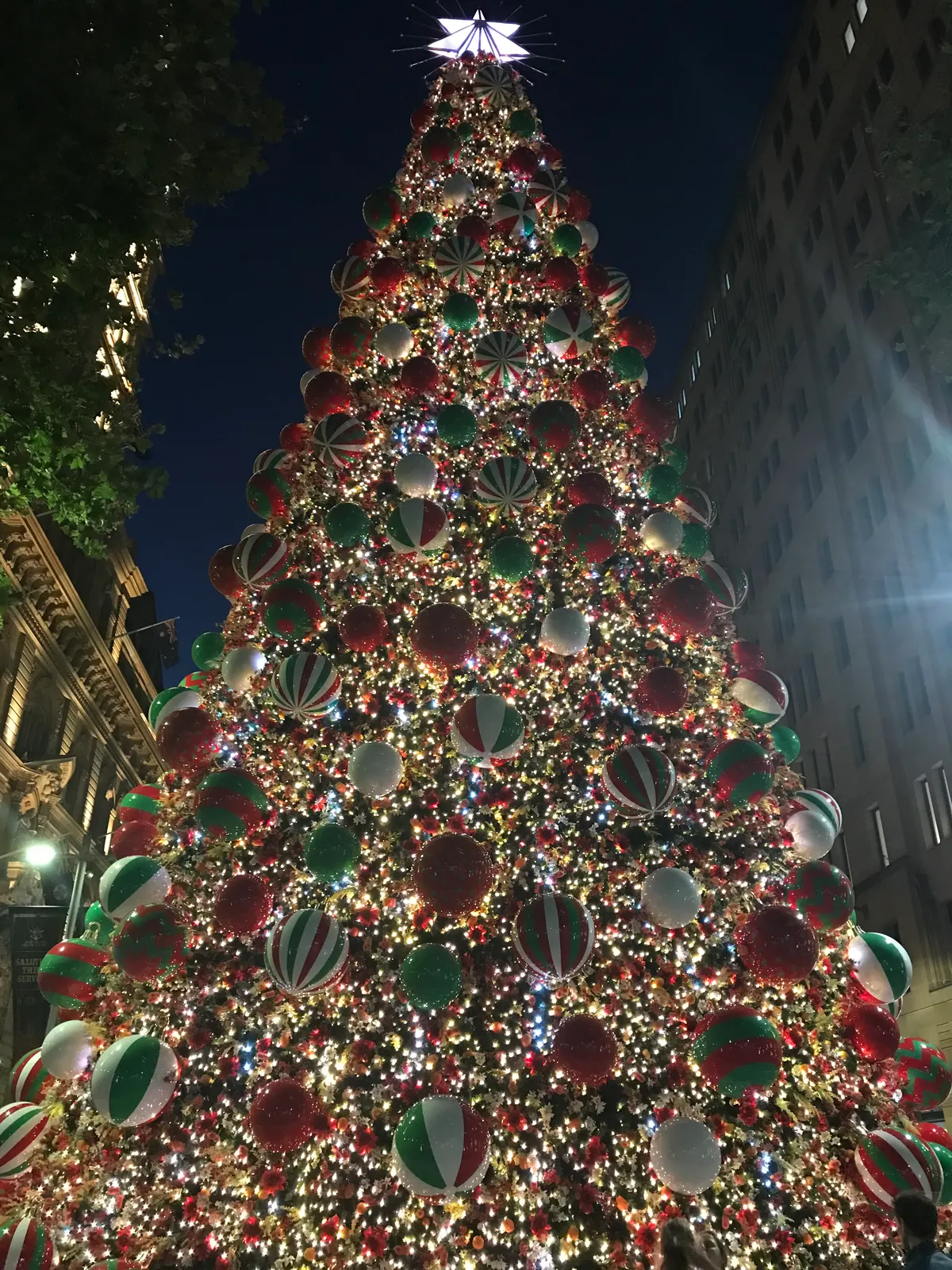Giant Martin Place Christmas tree decorated with baubles and lights at night in Sydney