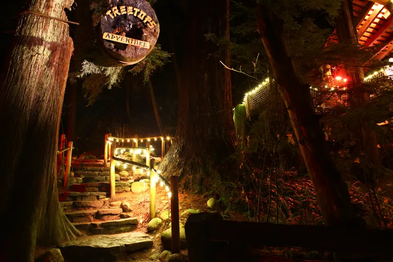 Treetops Adventure walkway lit for Canyon Lights at Capilano Suspension Bridge Park