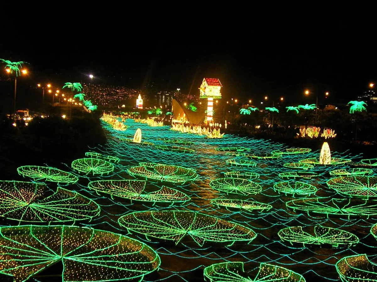 Nenúfares de luces verdes sobre el río Medellín en el alumbrado navideño