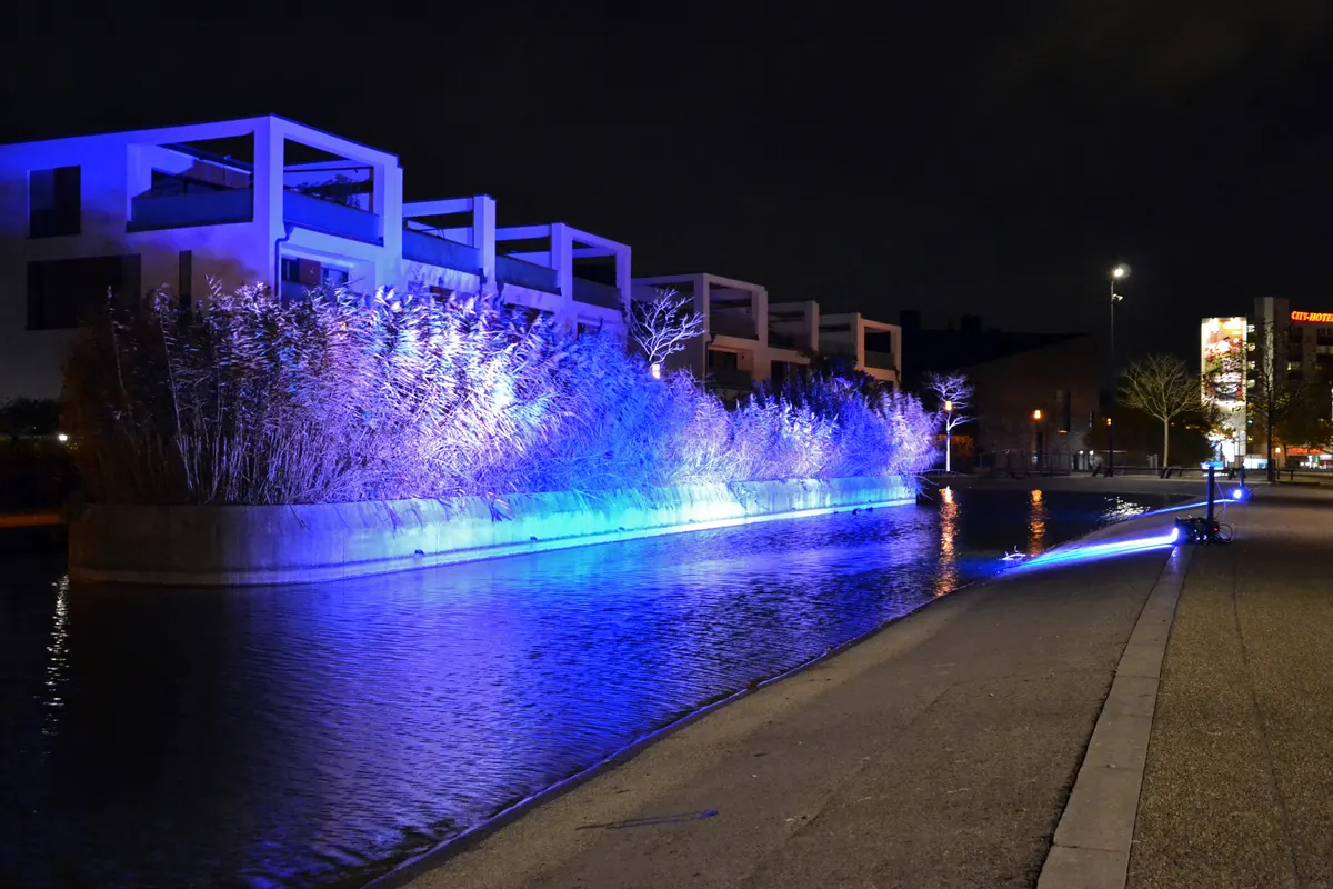 Blau angestrahlte Uferbepflanzung am Wasser beim Essen Light Festival im Universitätsviertel