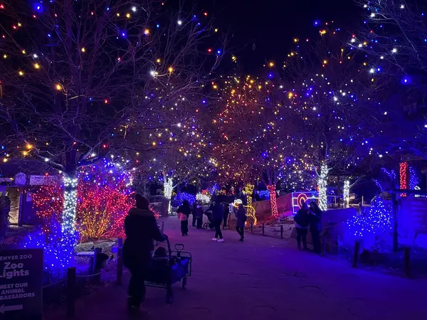 Denver Zoo Lights
