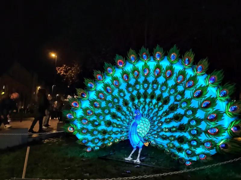 Paon lumineux de l'exposition Les Lumières de Laval