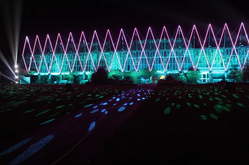 Illuminated glasshouse and light-path installation at Christmas at the Botanics