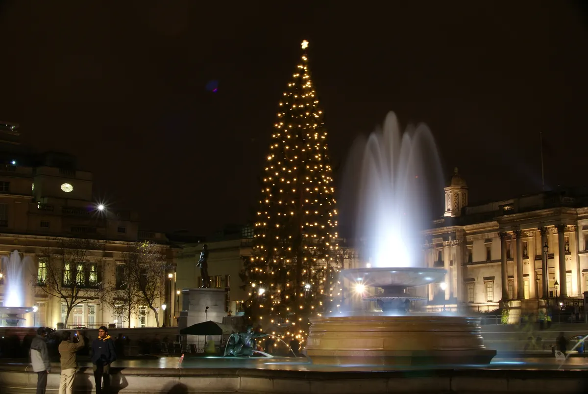 Trafalgar Square Christmas tree lit up at night beside the fountain
