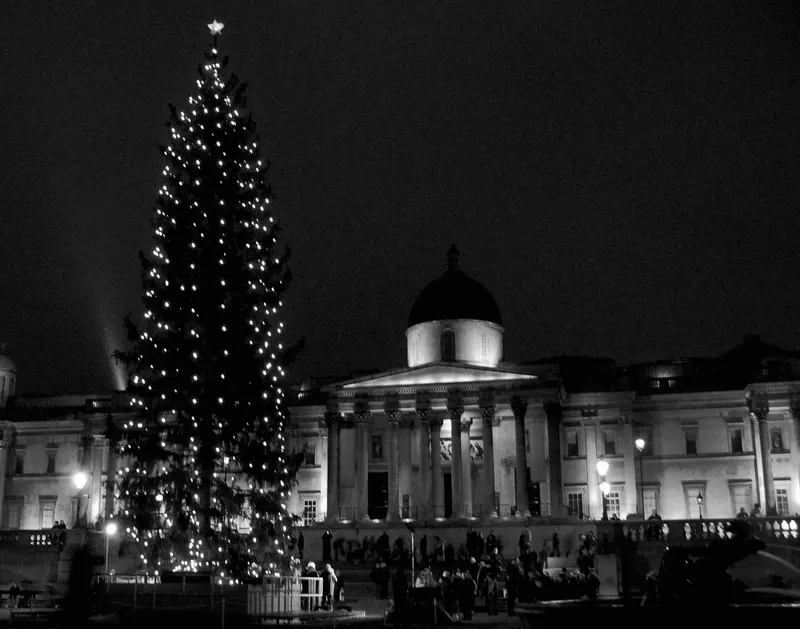 Trafalgar Square Christmas tree with the National Gallery at night