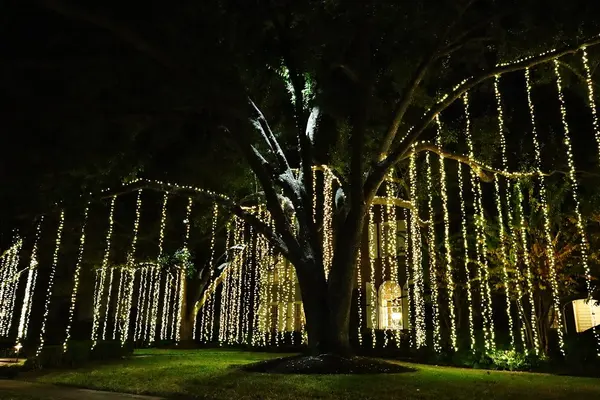 RiverOaksHolidayLights2023#6