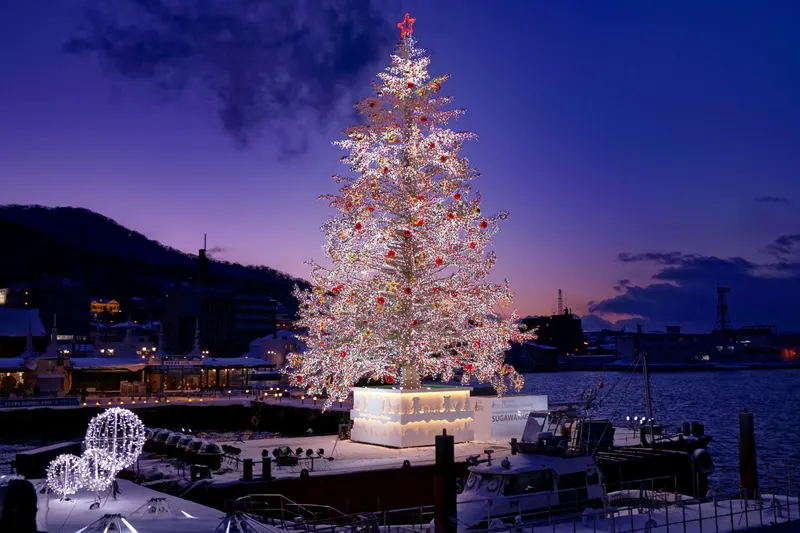 夕暮れの函館港と白く輝くクリスマスツリー