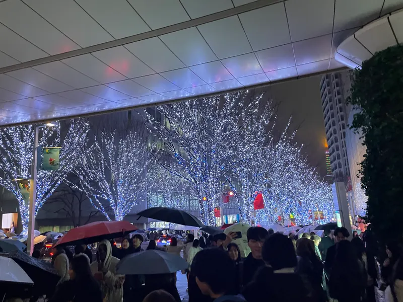 けやき坂イルミネーションの雨の夜、光る並木と行き交う人々