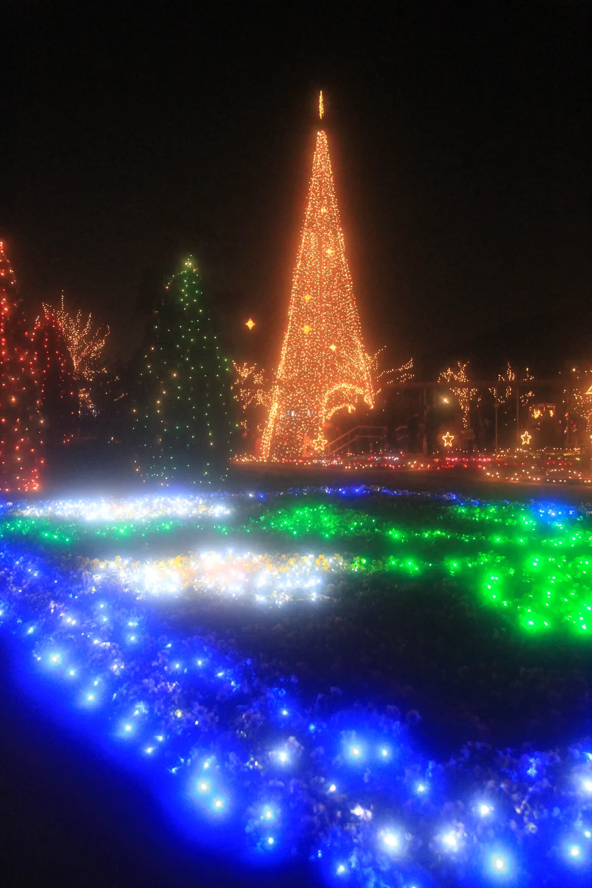 あしかがフラワーパークのクリスマスイルミネーションとライトアップされたツリー