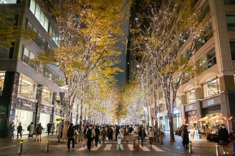夕暮れの丸の内仲通りと金色に灯る街路樹のイルミネーション