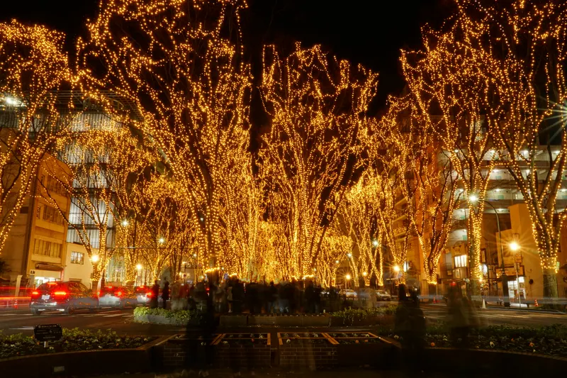 夜の定禅寺通に広がる光のページェントのケヤキ並木