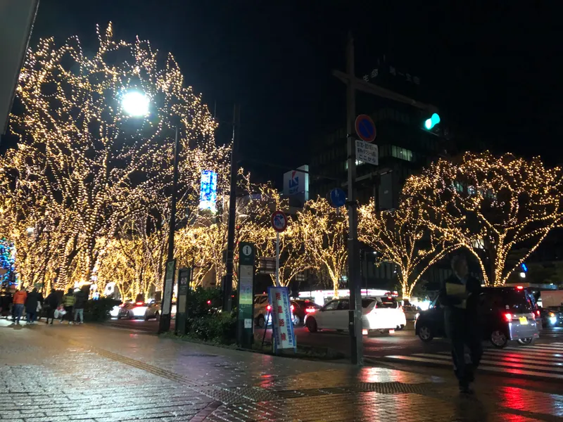 SENDAI光のページェントで電飾に包まれた通りの木々