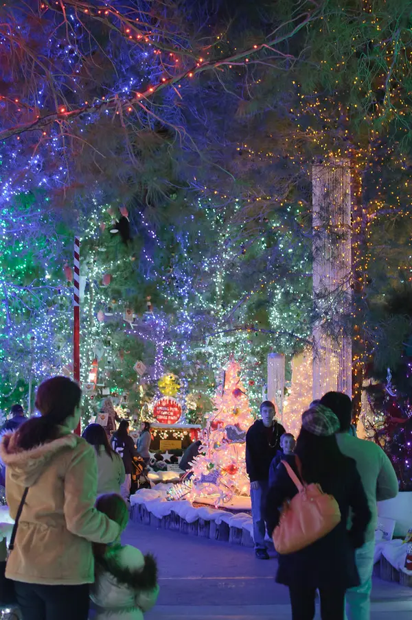 Magical Forest at Opportunity Village, Las Vegas