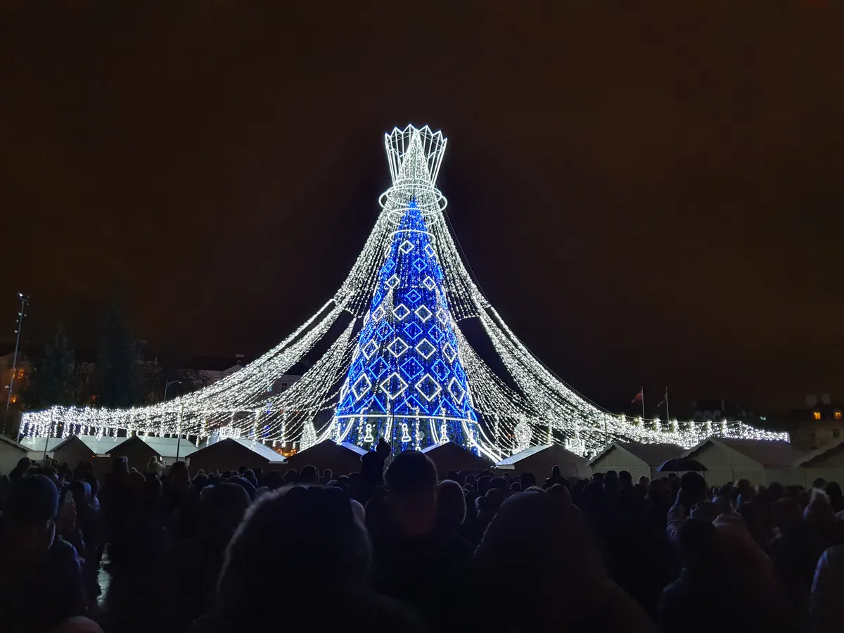 Vilniaus Kalėdų eglė Katedros aikštėje naktį