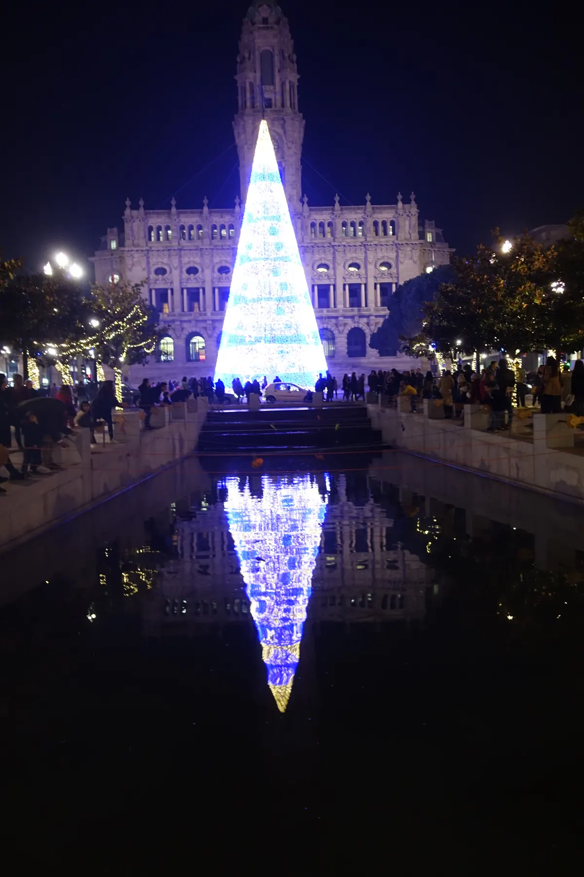 Árvore de Natal iluminada na Avenida dos Aliados, no Porto, refletida no espelho de água
