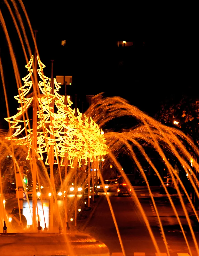 Árvores de luzes de Natal junto a uma fonte, em Viseu