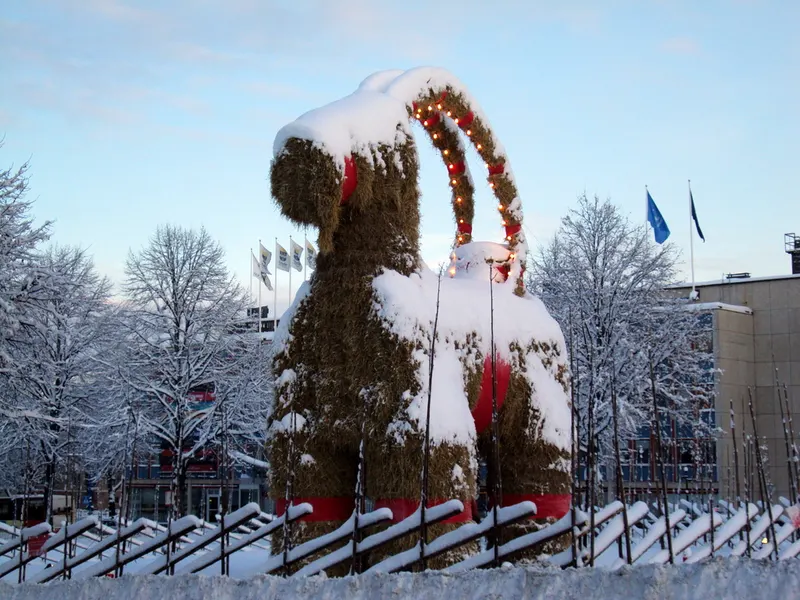 Snötäckt Gävlebock mitt i staden