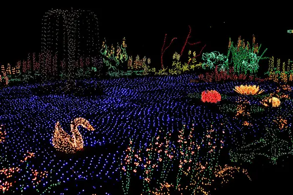 Bellevue - Garden d'Lights