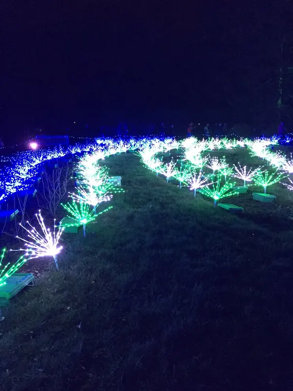Garden Glow