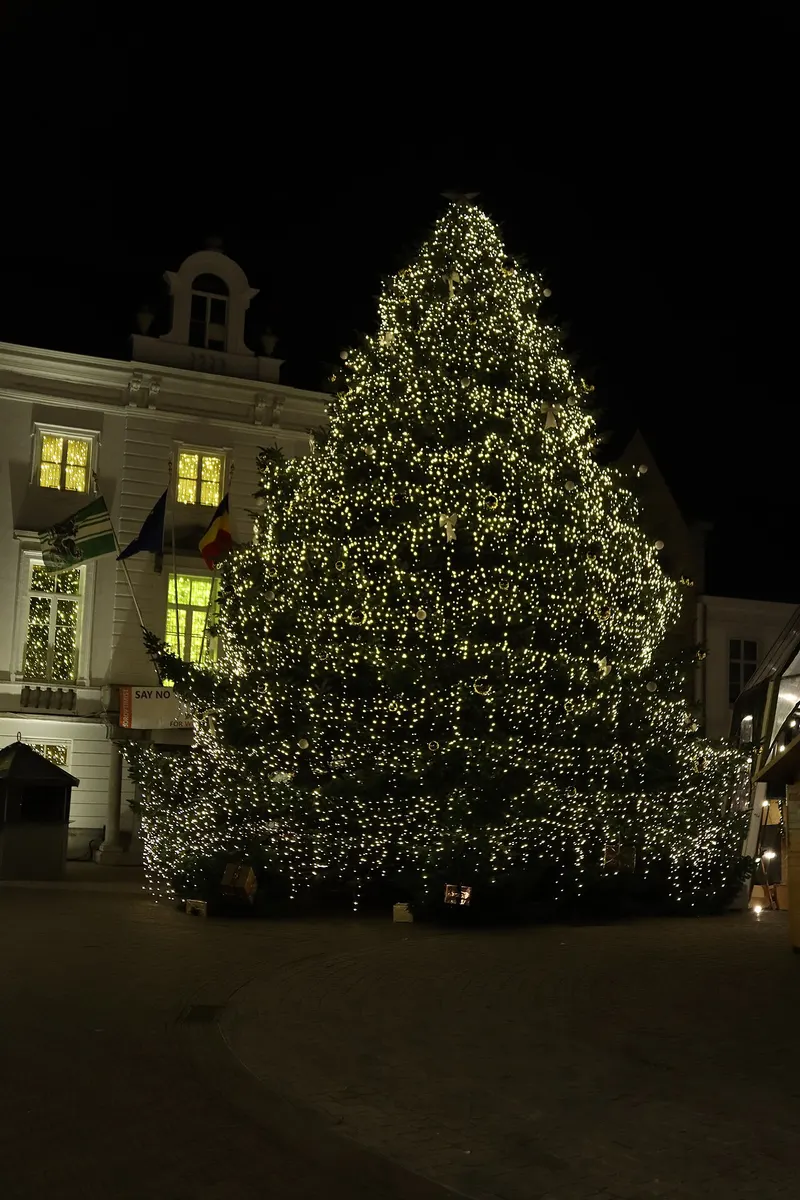 Kerstboom vol lichtjes op het Zottegemse marktplein