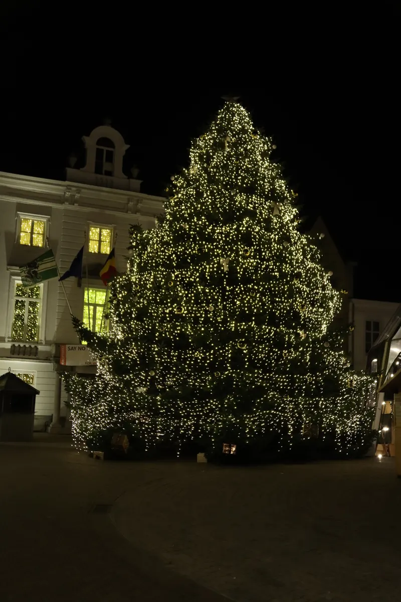 Close-up van de verlichte kerstboom voor het stadhuis van Zottegem