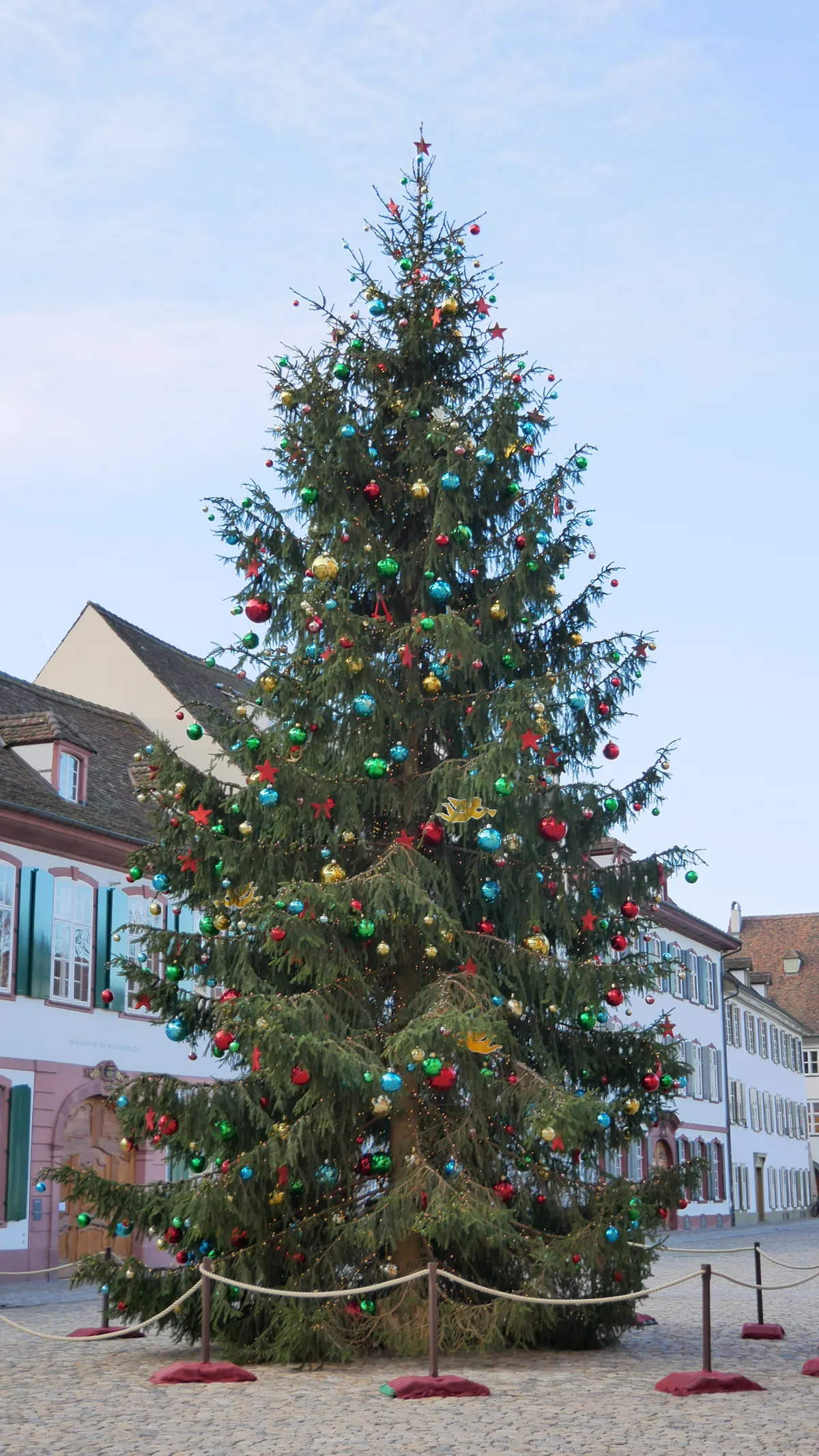Geschmückter Weihnachtsbaum auf dem Münsterplatz in Basel
