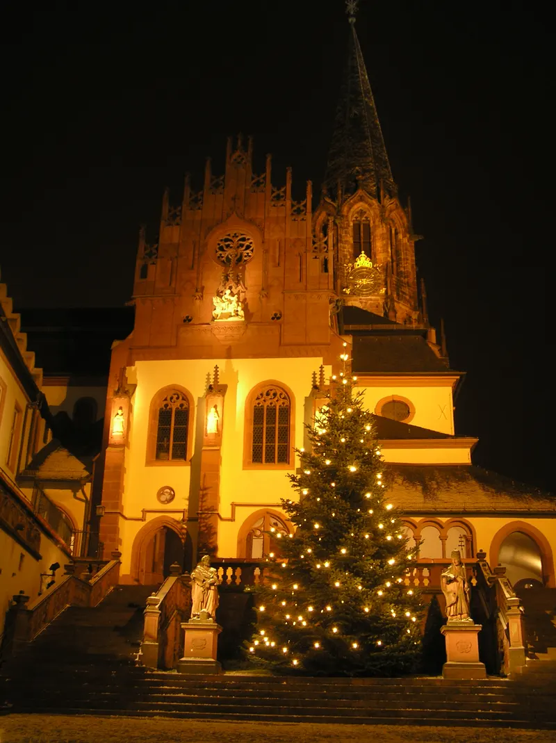 Stiftskirche Aschaffenburg mit Weihnachtsbaum bei Nacht