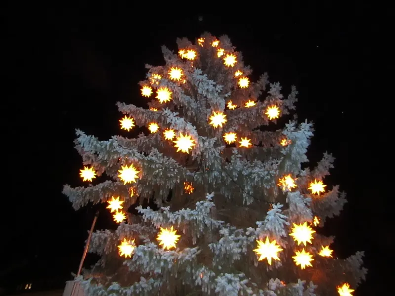 Mit Sternen beleuchteter Weihnachtsbaum in Bautzen