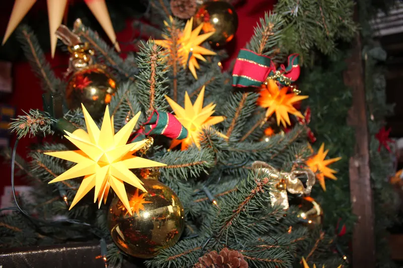 Herrnhuter Sterne im Tannengrün auf dem Chemnitzer Weihnachtsmarkt