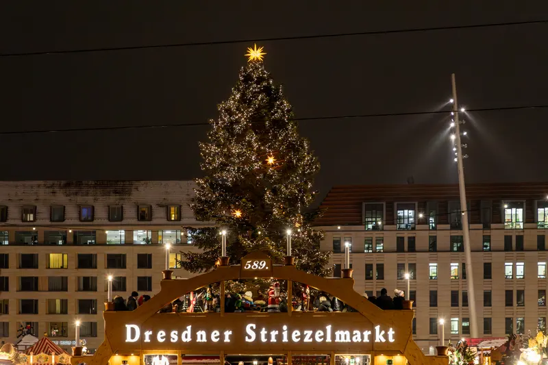 Eingangsbogen des Dresdner Striezelmarkts mit großem Weihnachtsbaum bei Nacht