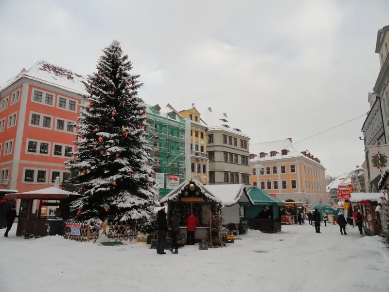 Verschneiter Weihnachtsbaum auf dem Görlitzer Markt