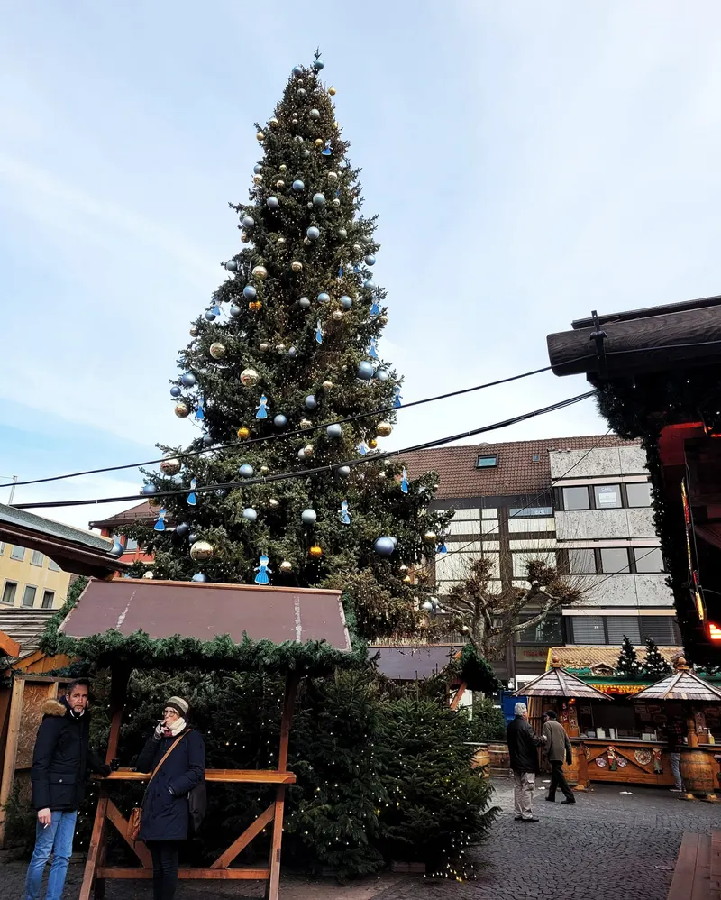 Geschmückter Weihnachtsbaum auf dem Marktplatz in Heilbronn