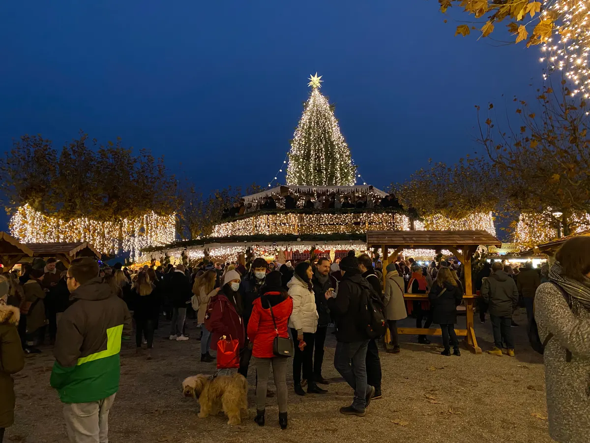 Weihnachtsbaum in Lichtern am Konstanzer Hafen am Abend
