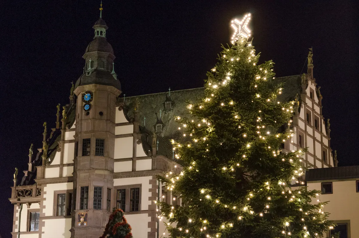 Schweinfurter Rathaus mit hell erleuchtetem Weihnachtsbaum bei Nacht