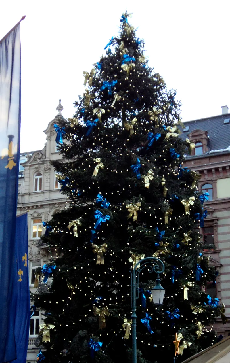 Großer Weihnachtsbaum mit blauen Schleifen beim Sternschnuppenmarkt Wiesbaden