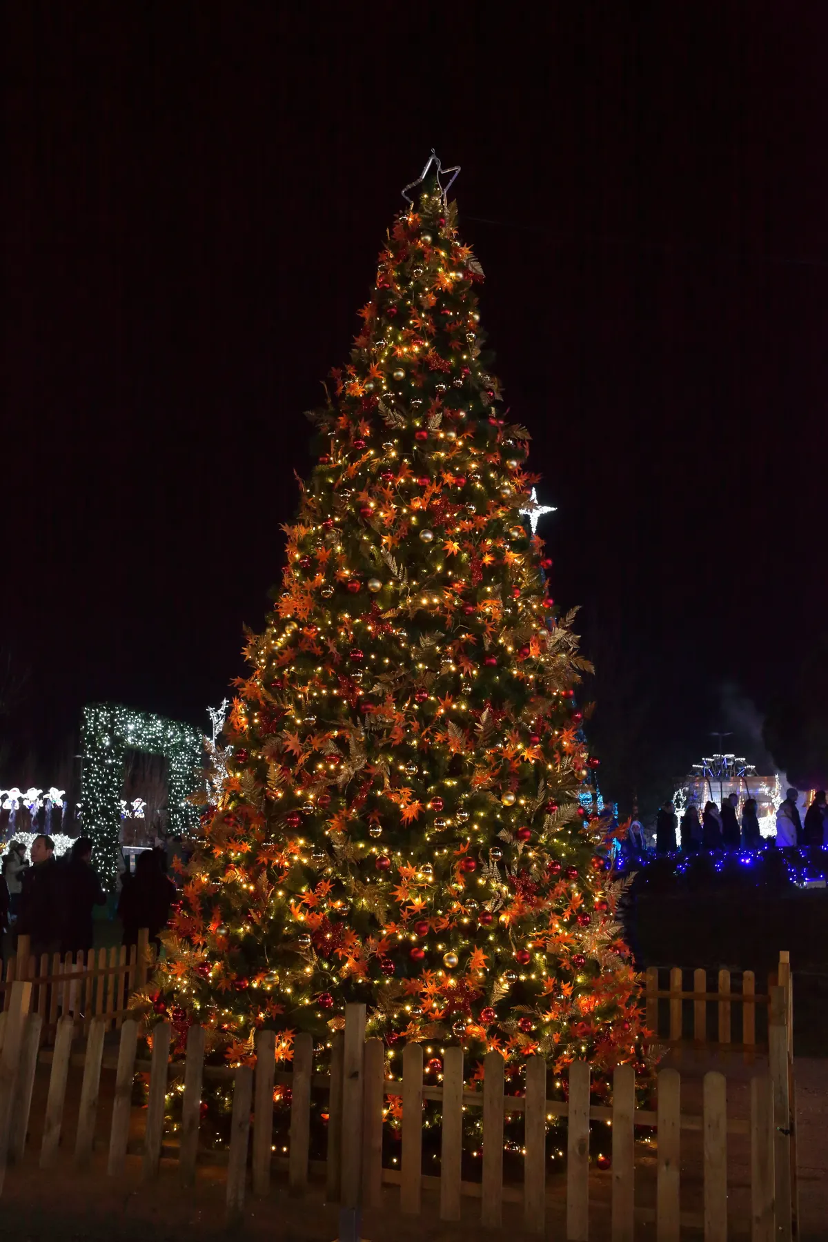 Árbol de Navidad iluminado en las Mágicas Navidades de Torrejón de Ardoz