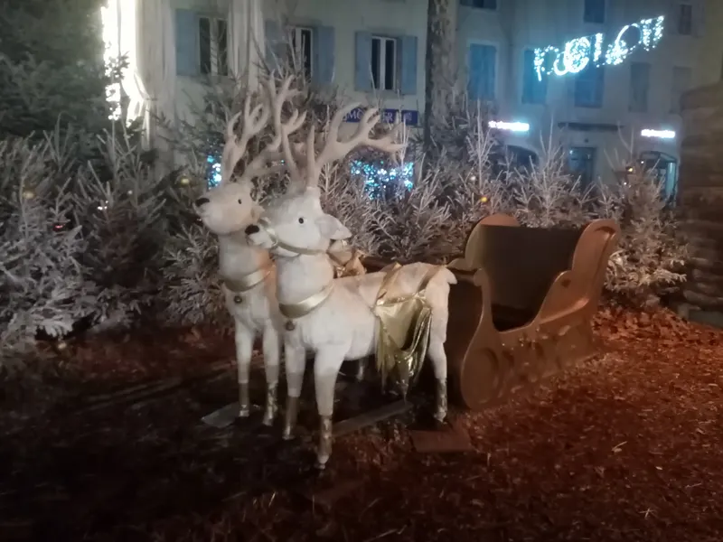 Traîneau du Père Noël avec rennes blancs à Castres