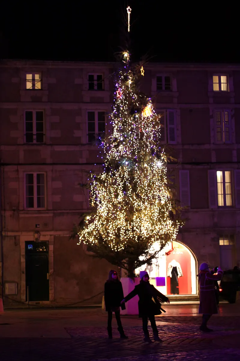 Sapin scintillant devant l'hôtel de ville illuminé de La Rochelle