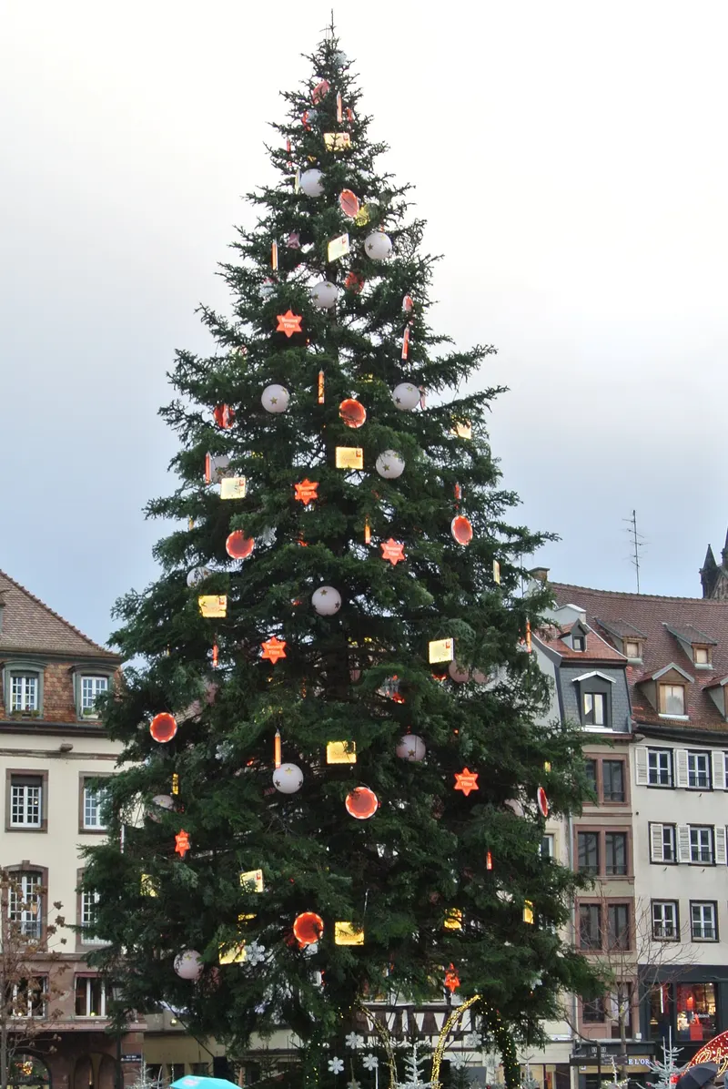 Le grand sapin de Noël place Kléber, Strasbourg