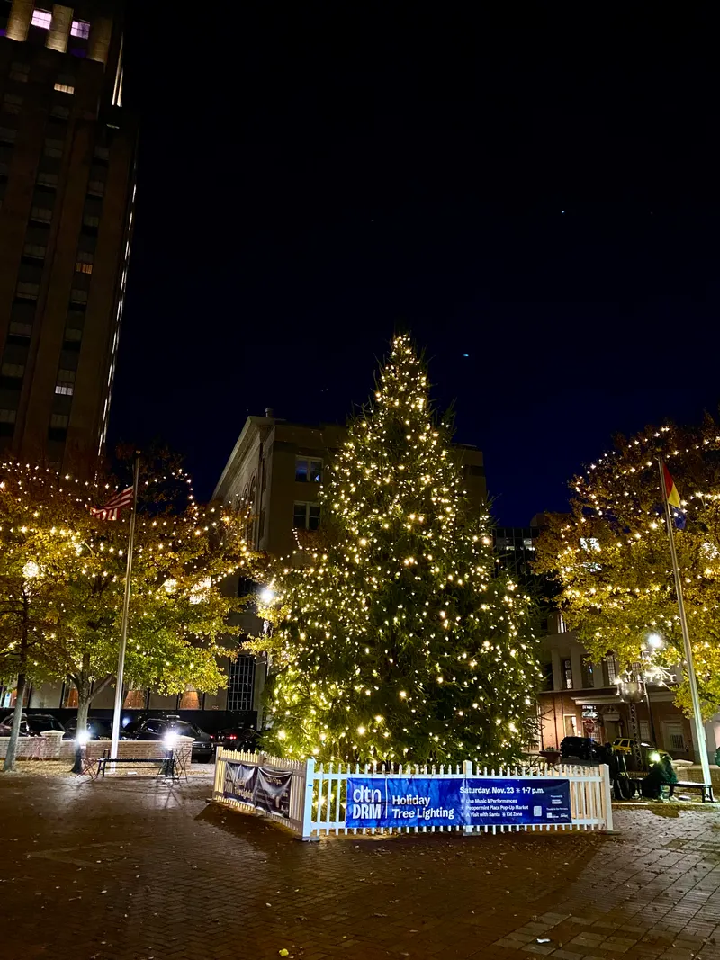 Large lit Christmas tree in Durham at night