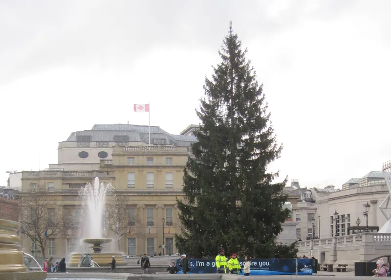 Christmas tree in Trafalgar Square