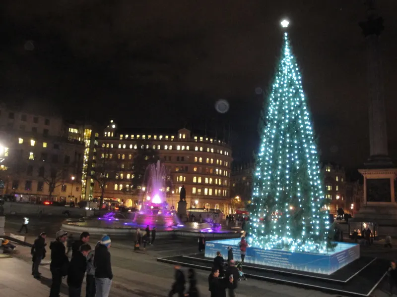 Trafalgar Square Christmas tree at night