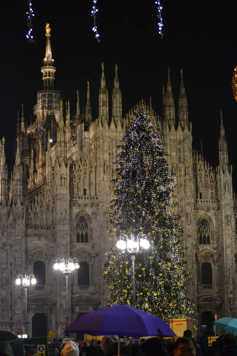 L'albero di Natale in Piazza Duomo a Milano