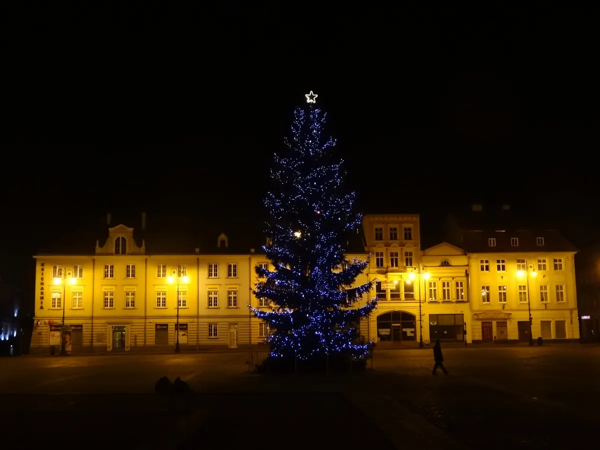 Podświetlona choinka na Starym Rynku w Bydgoszczy