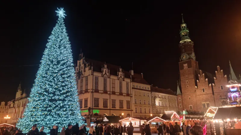 Wielka choinka z lampkami przy ratuszu na wrocławskim jarmarku
