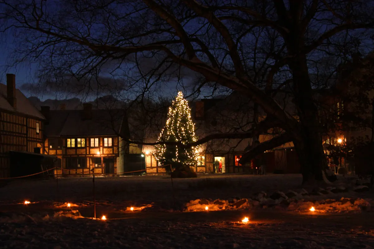 Upplyst julgran och marschaller på Fredriksdals friluftsmuseum i Helsingborg